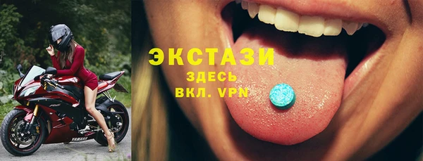 индика Краснослободск