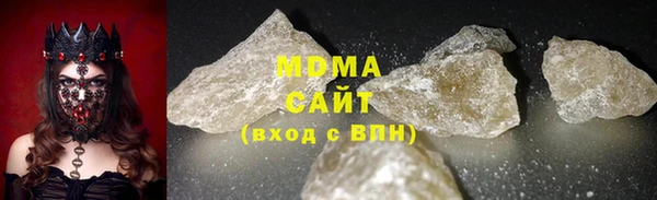 индика Краснослободск