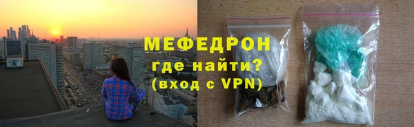 индика Краснослободск