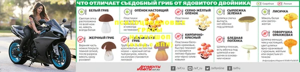 ALPHA PVP Куйбышев
