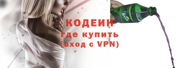 индика Краснослободск