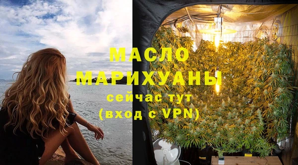 индика Краснослободск