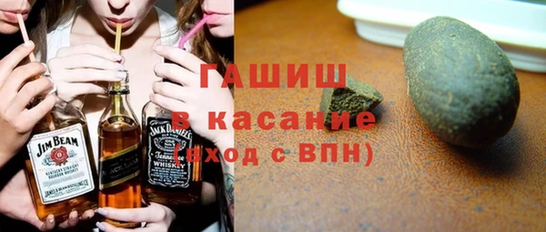 индика Краснослободск
