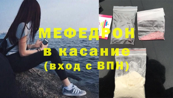 индика Краснослободск