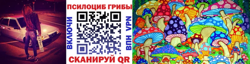 Псилоцибиновые грибы Cubensis  Купить где  Белоусово 